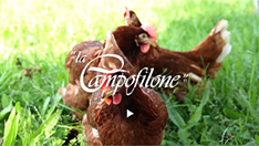La Campofilone